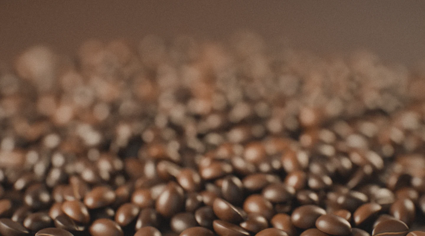 Gros plan sur des grains de café torréfiés